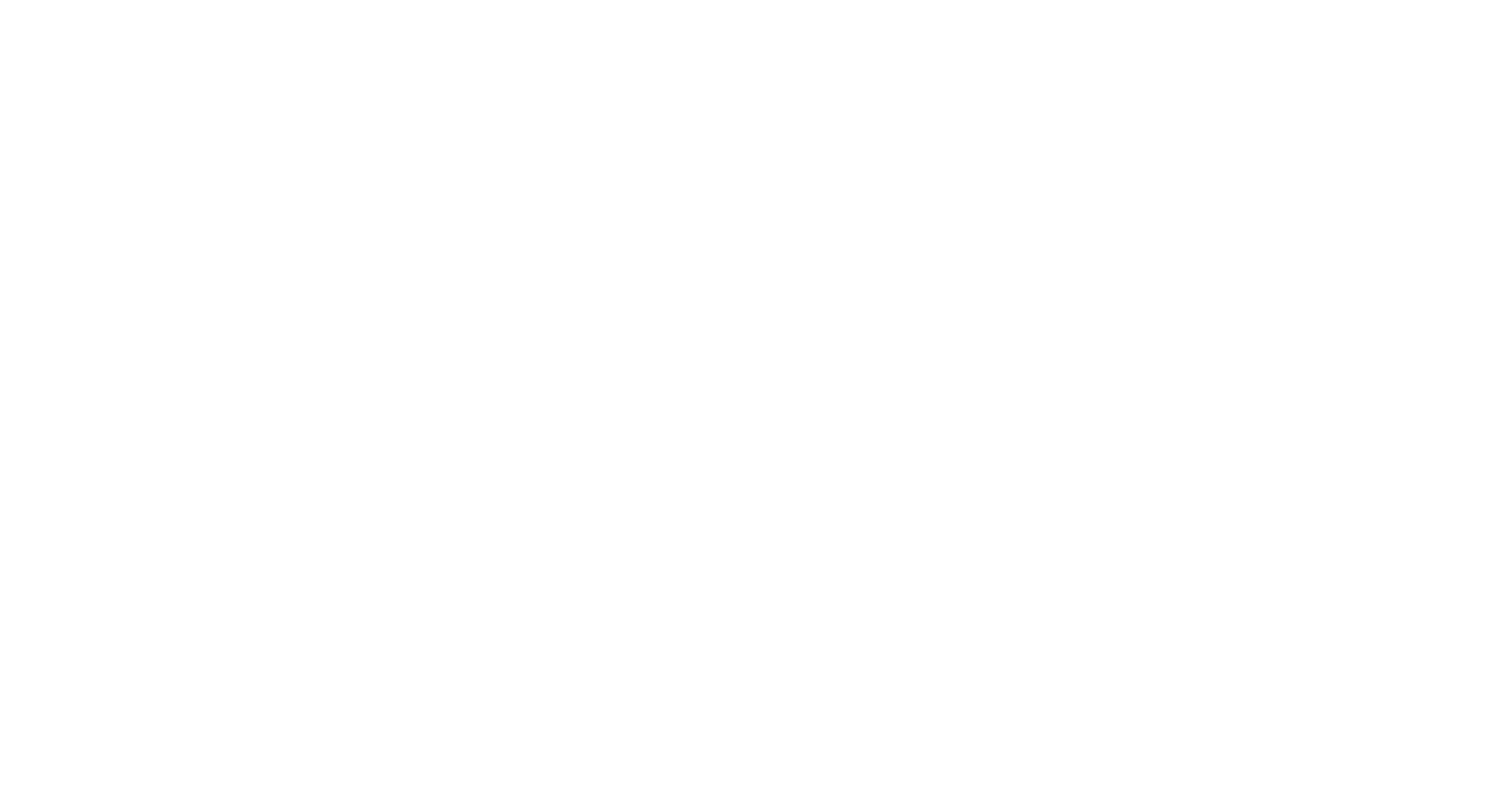 NCES LOGO WHITE