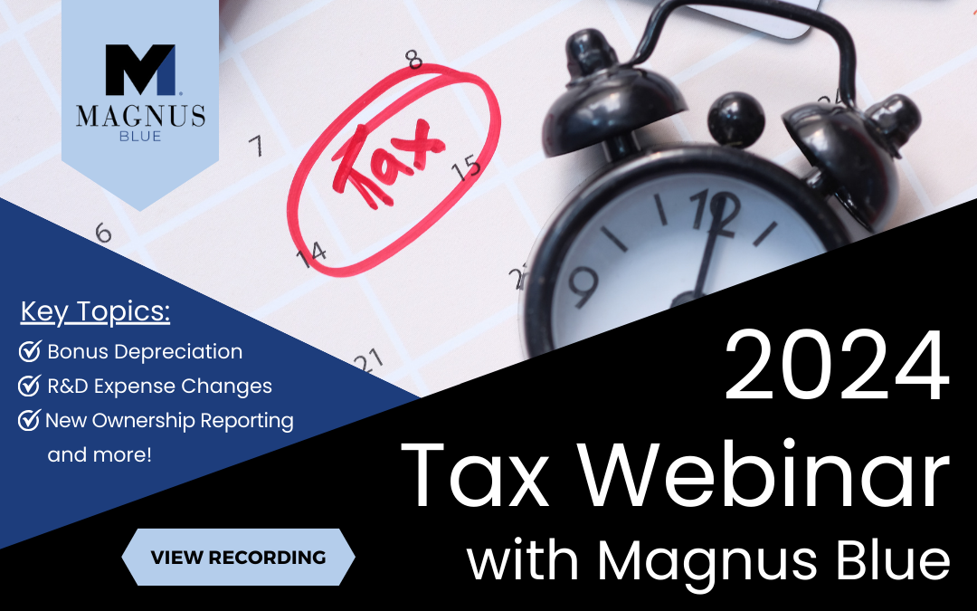 2024 Tax Webinar with Magnus Blue (Recording)